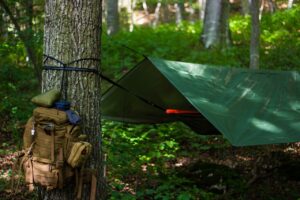 What is Bushcrafting?